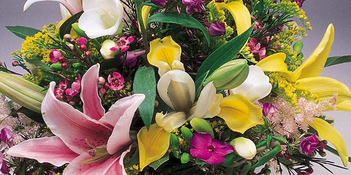Lidl Blumen Rabattcode