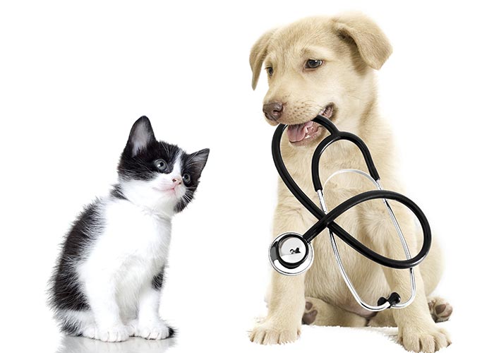 MedicAnimal Rabattcode