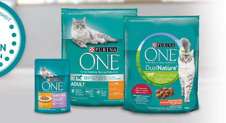 Purina ONE Cashback