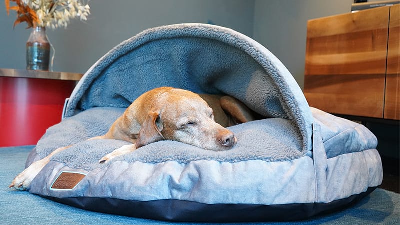 snuggle dreamer Rabattcode